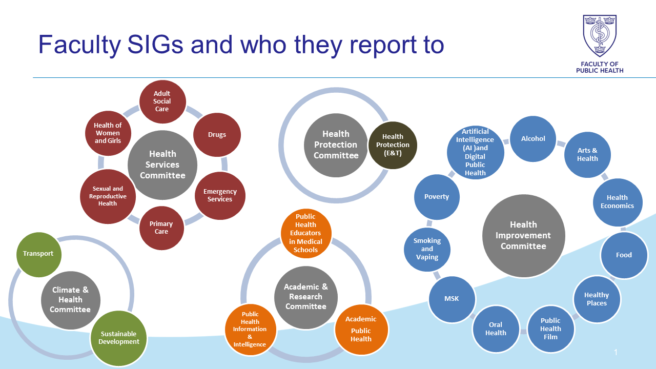 SIG Architecture