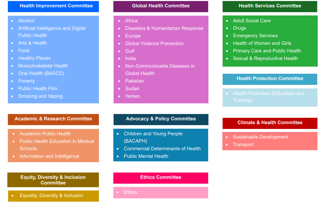 Diagram of the Faculty of Public Health's Committees and Special Interest Groups as of November 2024
