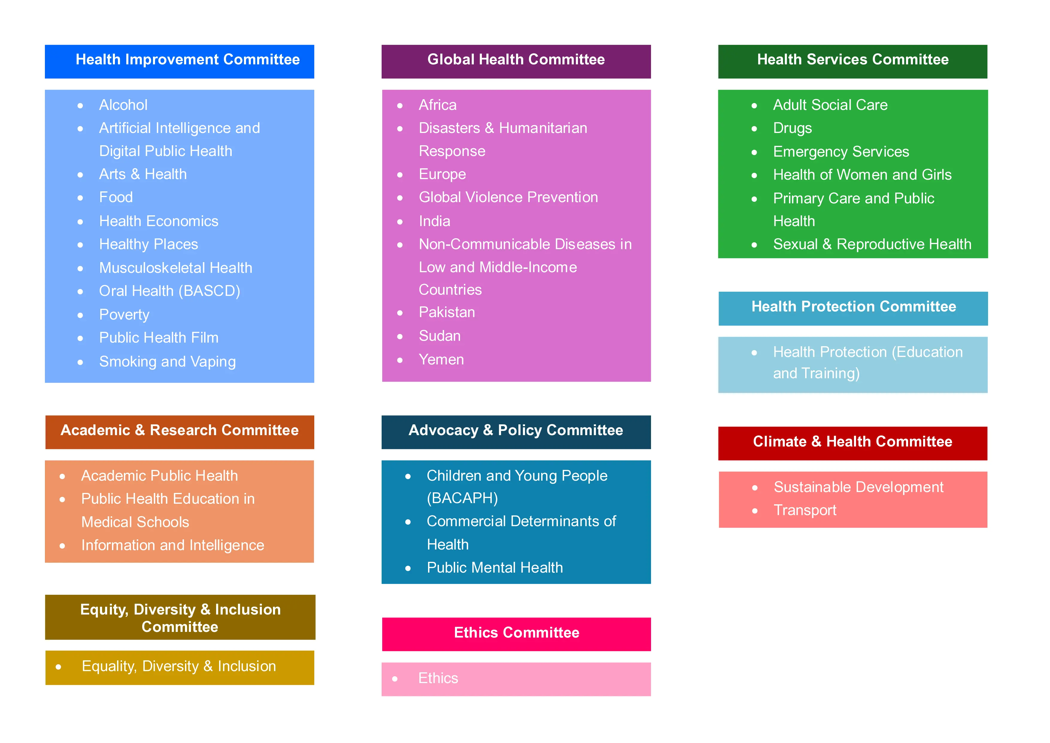 Diagram of the Faculty of Public Health's Committees and Special Interest Groups as of November 2024